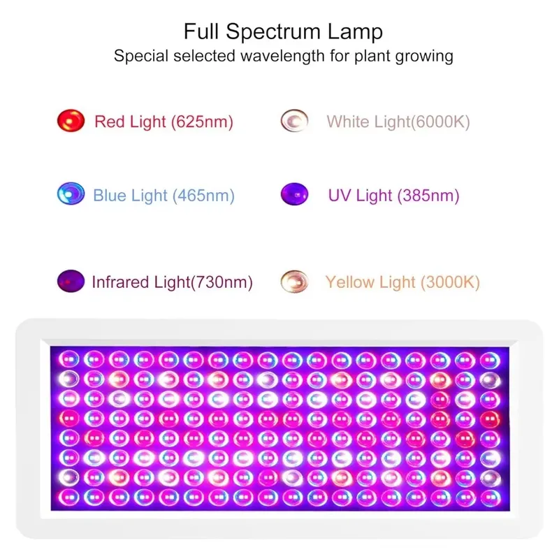 2026 Latest UV Light Box for S - огляд і ціна Sneaker Box